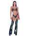 6493 - Rainbow Print Vinyl & Fishnet Chaps Small